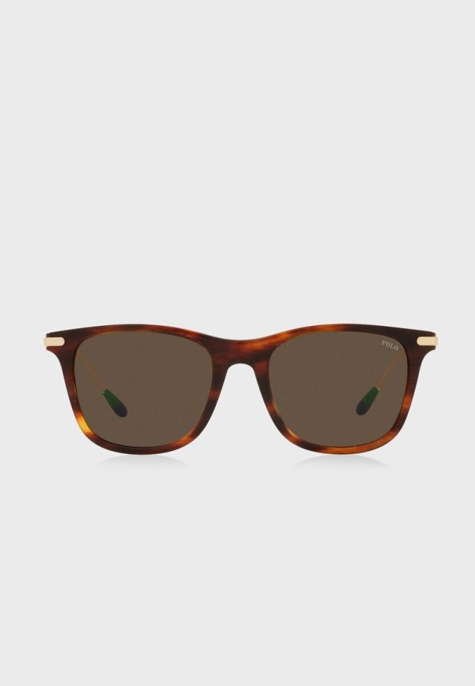 Brown Men’s Ralph Lauren 0Ph4179U Aviator Sunglasses Brown Men’s Ralph Lauren 0Ph4179U Aviator Sunglasses