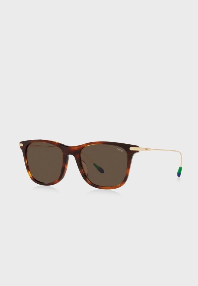 Brown Men’s Ralph Lauren 0Ph4179U Aviator Sunglasses Brown Men’s Ralph Lauren 0Ph4179U Aviator Sunglasses
