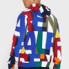 Multicolor Men’s Ralph Lauren Color Block Hoodie